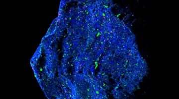 اكتشاف مذهل.. عينات كويكب ريوغو تكشف عن معدن نادر في الفضاء الخارجي